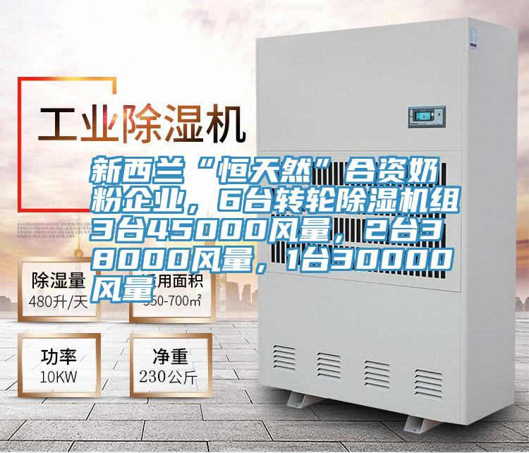 新西蘭“恒天然”合資奶粉企業(yè)，6臺轉(zhuǎn)輪除濕機(jī)組3臺45000風(fēng)量，2臺38000風(fēng)量，1臺30000風(fēng)量