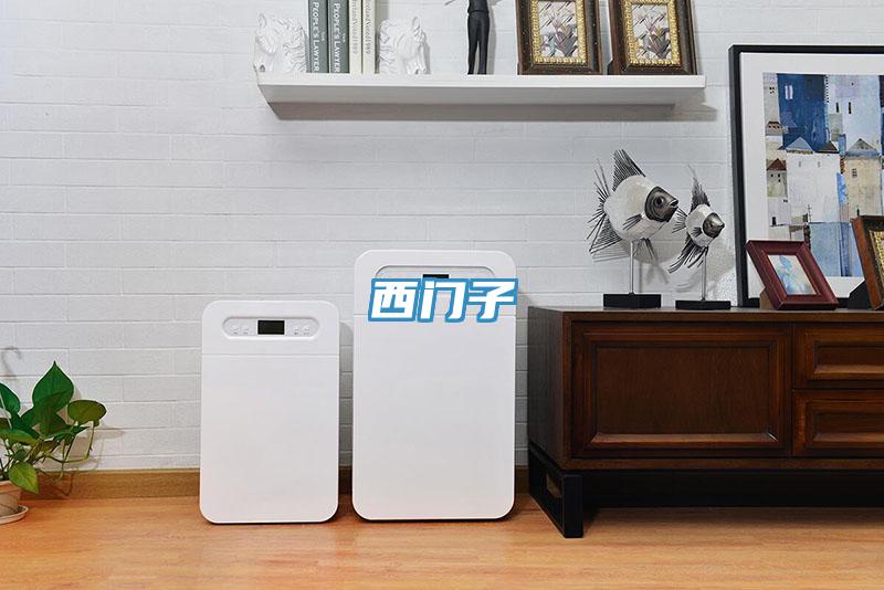 西門(mén)子