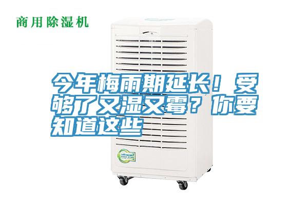 今年梅雨期延長！受夠了又濕又霉？你要知道這些