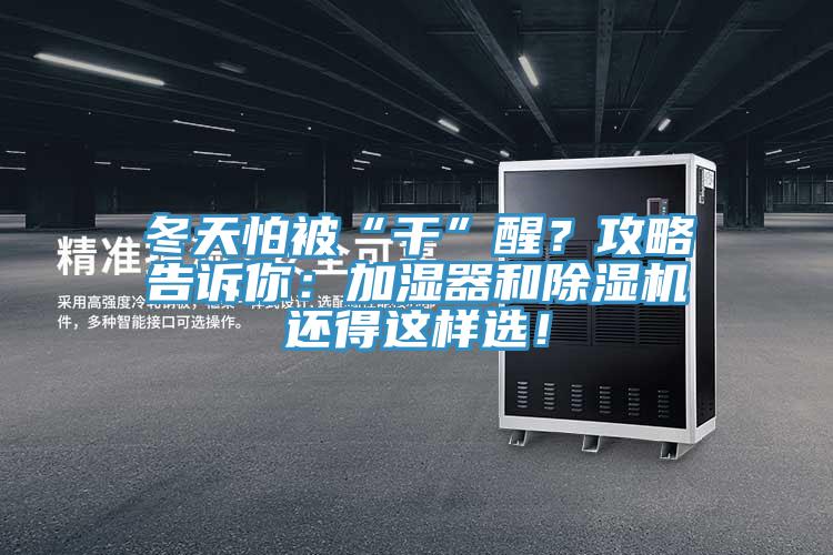 冬天怕被“干”醒？攻略告訴你：加濕器和除濕機還得這樣選！