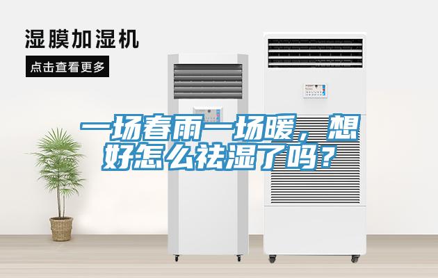 一場春雨一場暖，想好怎么祛濕了嗎？