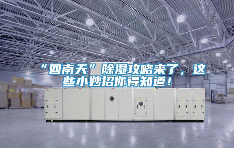 “回南天”除濕攻略來了，這些小妙招你得知道！