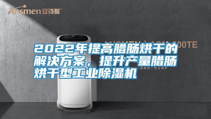2022年提高臘腸烘干的解決方案，提升產量臘腸烘干型工業(yè)除濕機