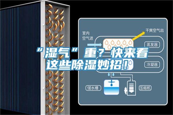 “濕氣”重？快來看這些除濕妙招！