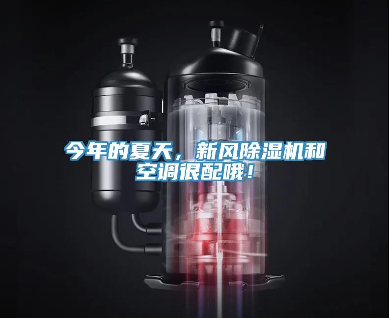 今年的夏天，新風(fēng)除濕機(jī)和空調(diào)很配哦！