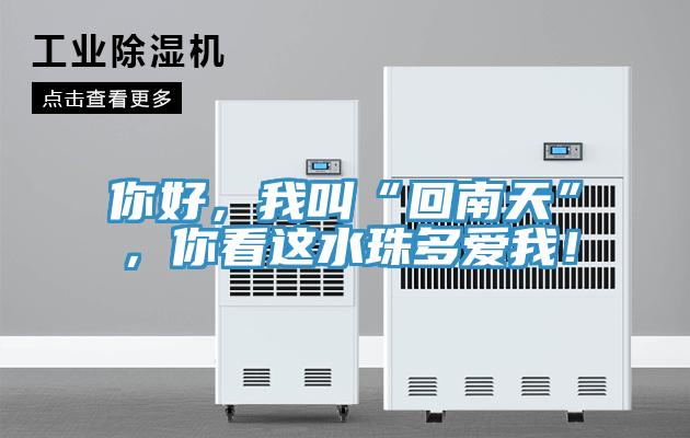 你好，我叫“回南天”，你看這水珠多愛我！