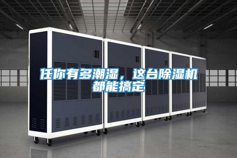 任你有多潮濕，這臺除濕機(jī)都能搞定