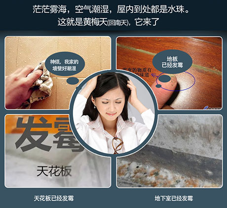 家庭別墅的地下室、衛(wèi)生間、儲物室等該如何除濕？