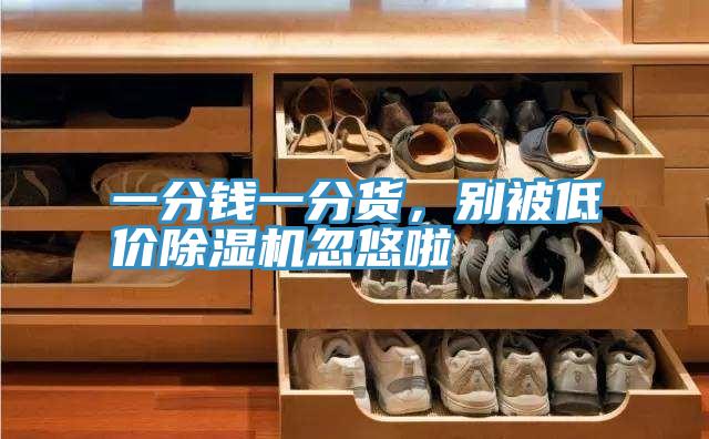 一分錢一分貨，別被低價除濕機忽悠啦