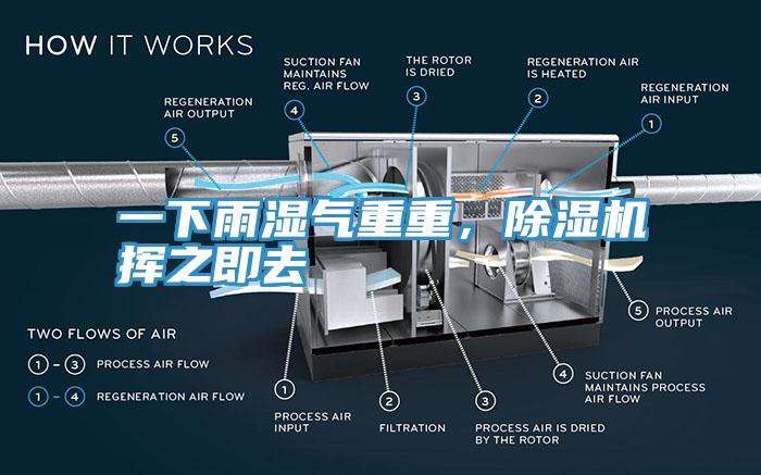 一下雨濕氣重重，除濕機揮之即去