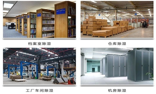 為什么竹筍烘干房需要除濕機(jī)？