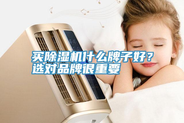 買除濕機什么牌子好？選對品牌很重要