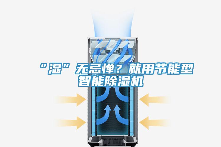 “濕”無忌憚？就用節(jié)能型智能除濕機