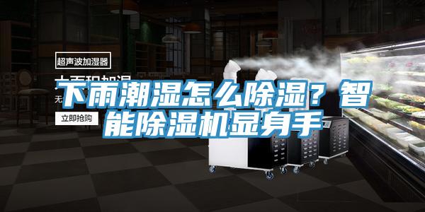 下雨潮濕怎么除濕？智能除濕機(jī)顯身手