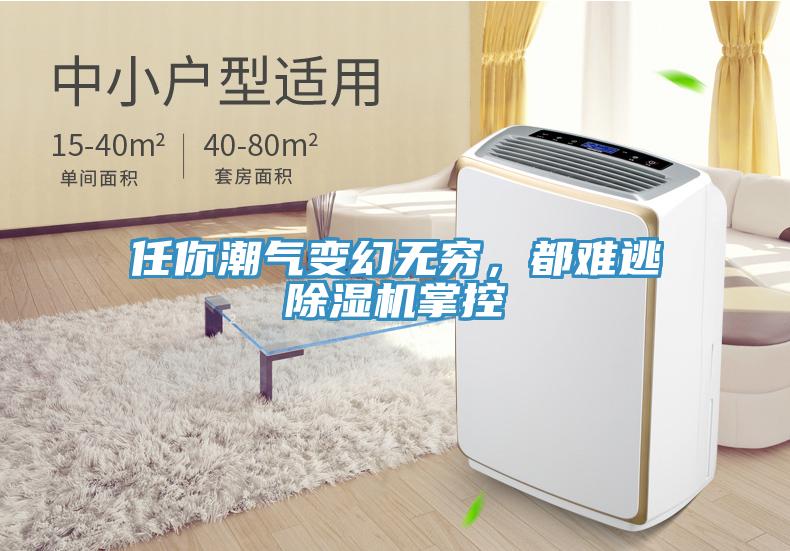 任你潮氣變幻無窮，都難逃除濕機(jī)掌控