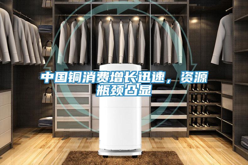 中國銅消費增長迅速，資源瓶頸凸顯