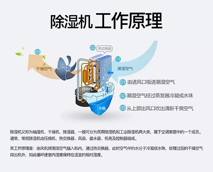 對抗梅雨天，絕不認輸！