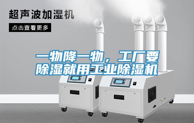 一物降一物，工廠要除濕就用工業(yè)除濕機