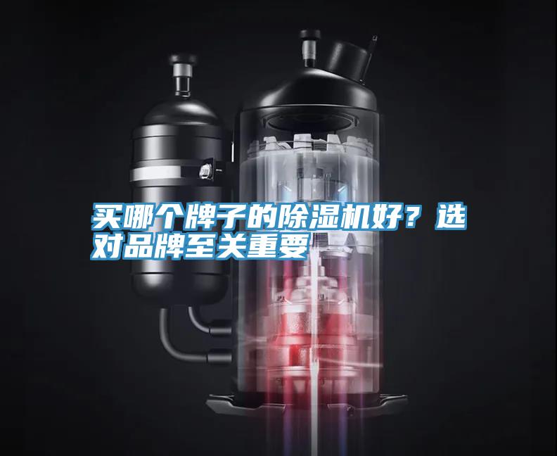 買哪個牌子的除濕機好？選對品牌至關重要