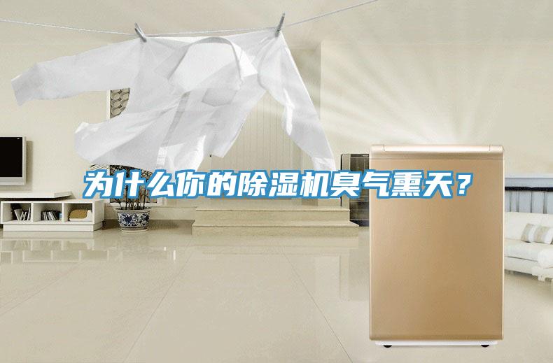 為什么你的除濕機(jī)臭氣熏天？