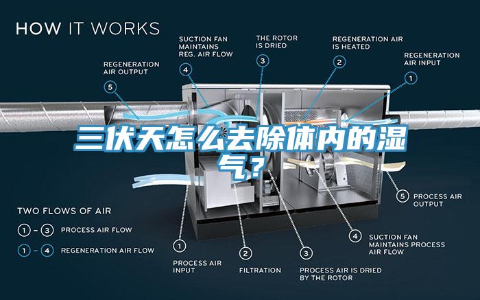三伏天怎么去除體內(nèi)的濕氣？
