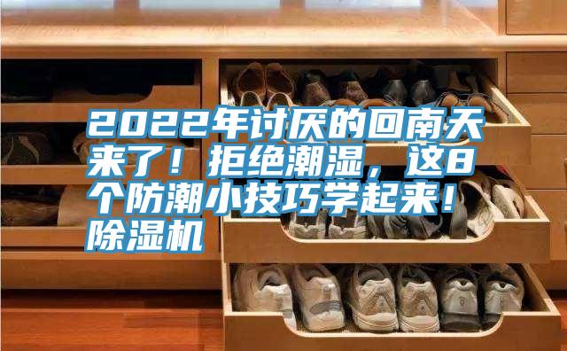 2022年討厭的回南天來了！拒絕潮濕，這8個防潮小技巧學起來！除濕機