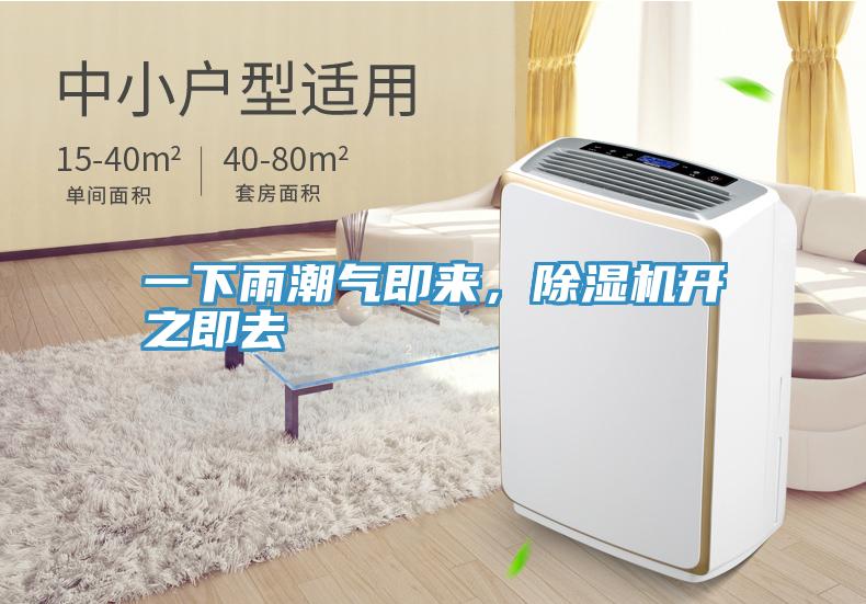 一下雨潮氣即來，除濕機開之即去