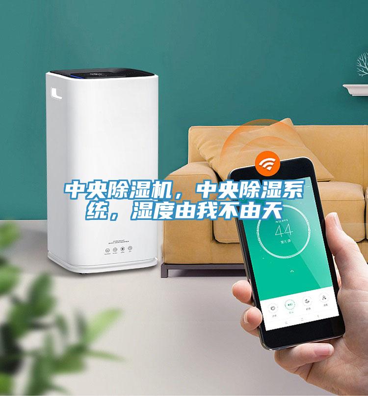 中央除濕機，中央除濕系統(tǒng)，濕度由我不由天