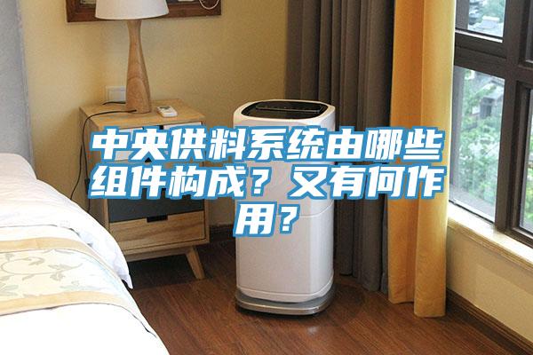 中央供料系統(tǒng)由哪些組件構(gòu)成？又有何作用？
