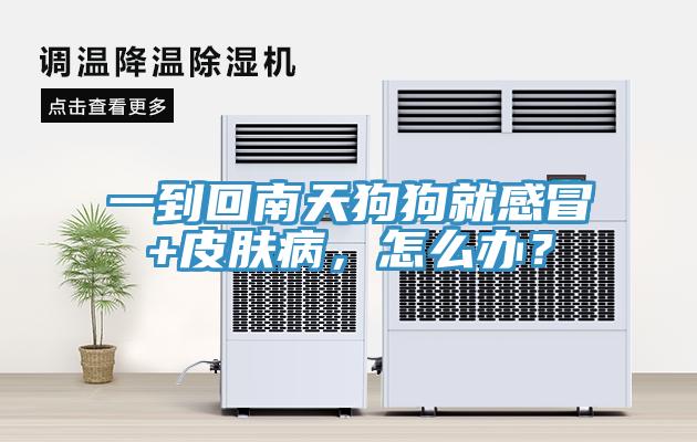 一到回南天狗狗就感冒+皮膚病，怎么辦？