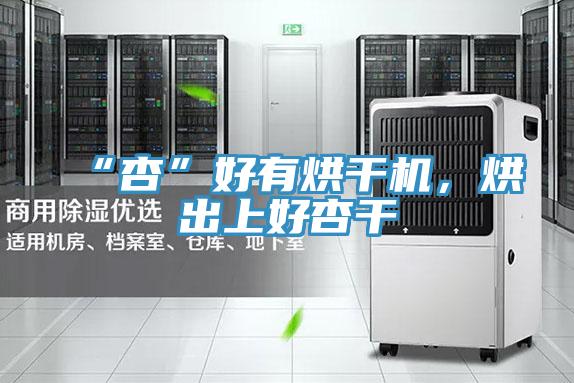 “杏”好有烘干機，烘出上好杏干