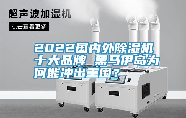 2022國內(nèi)外除濕機十大品牌 黑馬伊島為何能沖出重圍？