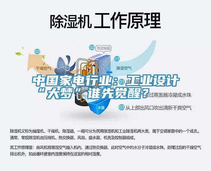中國(guó)家電行業(yè)：工業(yè)設(shè)計(jì)“大夢(mèng)”誰(shuí)先覺醒？