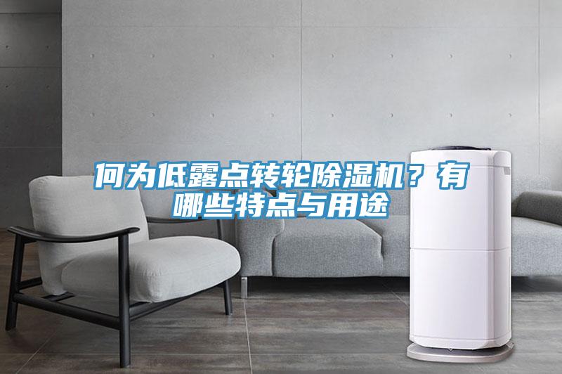 何為低露點(diǎn)轉(zhuǎn)輪除濕機(jī)？有哪些特點(diǎn)與用途
