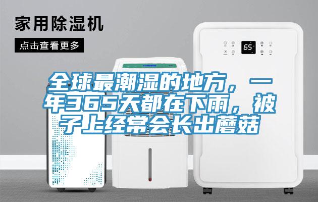 全球最潮濕的地方，一年365天都在下雨，被子上經(jīng)常會(huì)長(zhǎng)出蘑菇