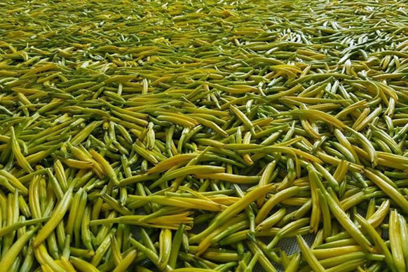 無硫金針菜烘干如何保持品相？不發(fā)黑？_除濕機(jī)廠家