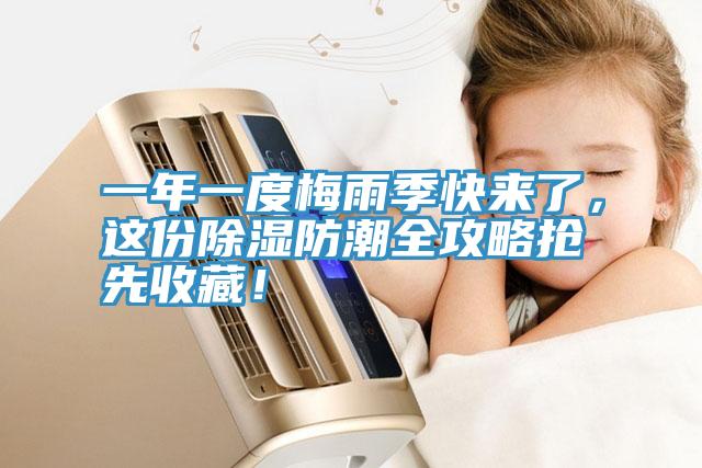 一年一度梅雨季快來了，這份除濕防潮全攻略搶先收藏！