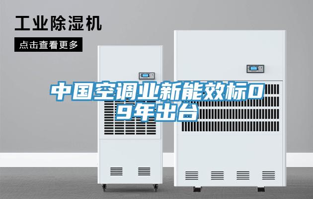 中國空調(diào)業(yè)新能效標09年出臺