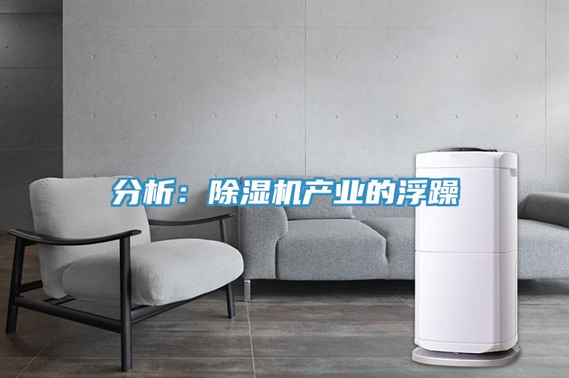 分析：除濕機產業(yè)的浮躁
