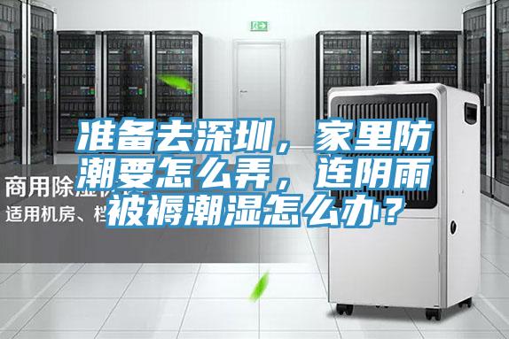 準(zhǔn)備去深圳，家里防潮要怎么弄，連陰雨被褥潮濕怎么辦？
