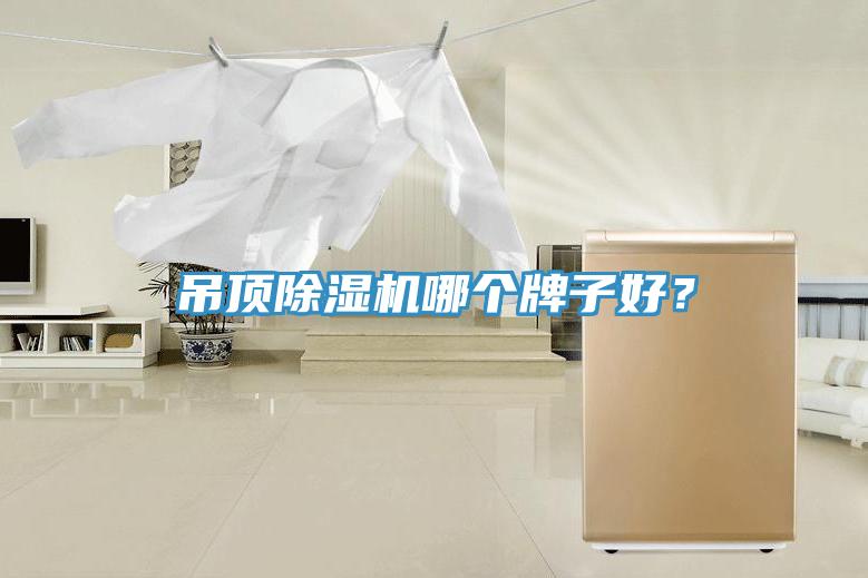吊頂除濕機(jī)哪個(gè)牌子好？