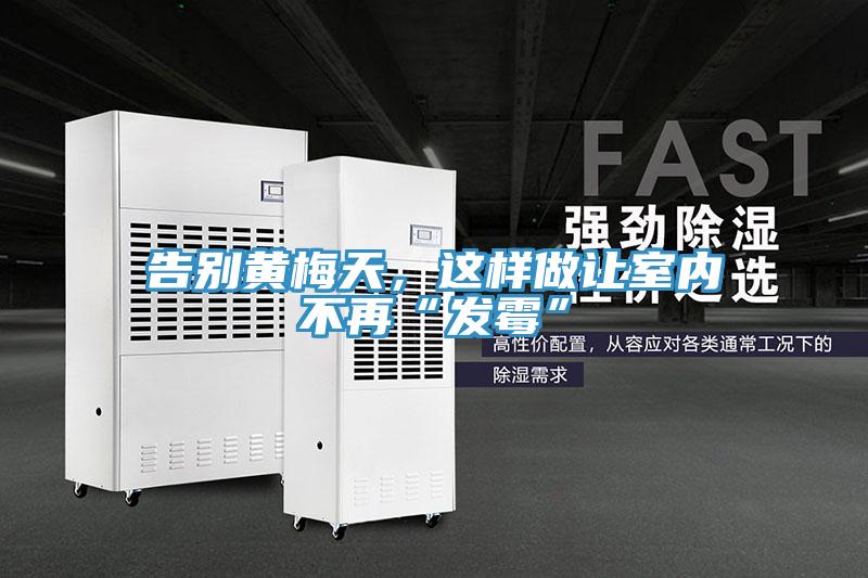 告別黃梅天，這樣做讓室內(nèi)不再“發(fā)霉”