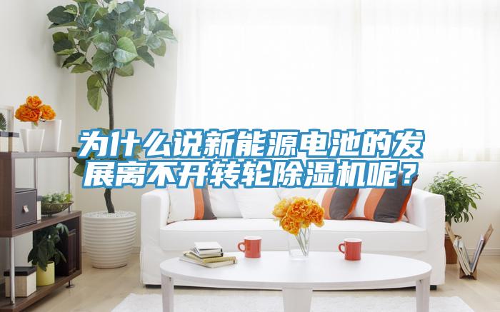 為什么說(shuō)新能源電池的發(fā)展離不開(kāi)轉(zhuǎn)輪除濕機(jī)呢？