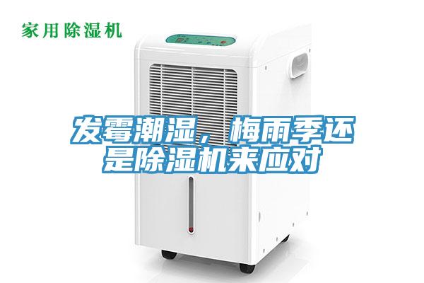 發(fā)霉潮濕，梅雨季還是除濕機來應對