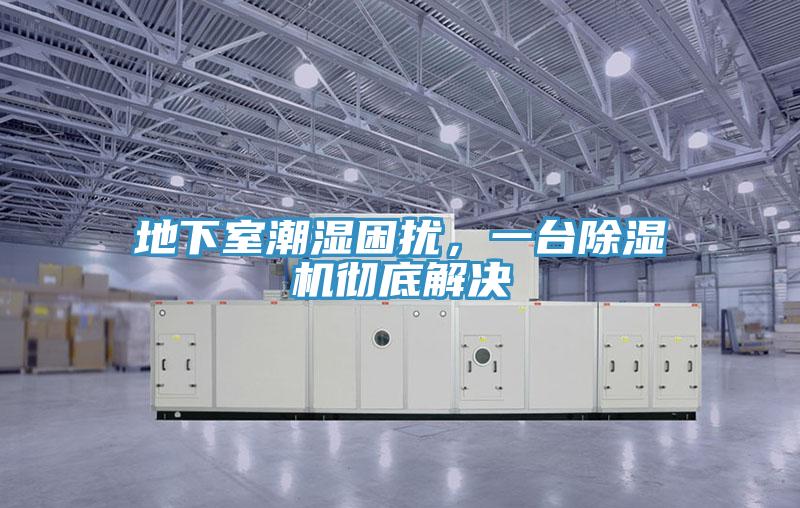 地下室潮濕困擾，一臺除濕機徹底解決