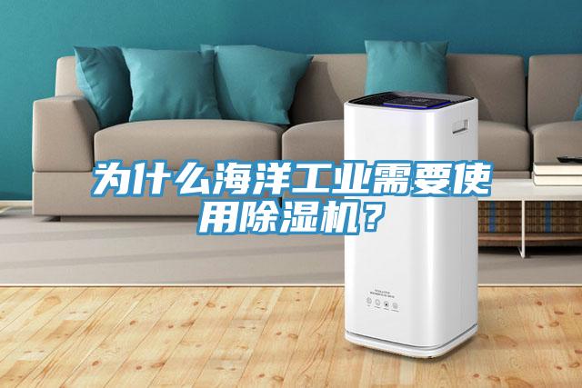 為什么海洋工業(yè)需要使用除濕機(jī)？
