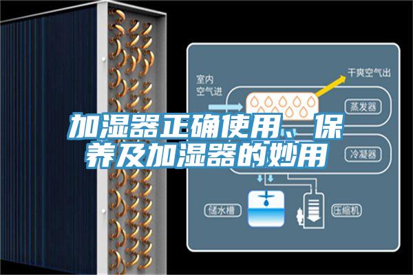 加濕器正確使用、保養(yǎng)及加濕器的妙用