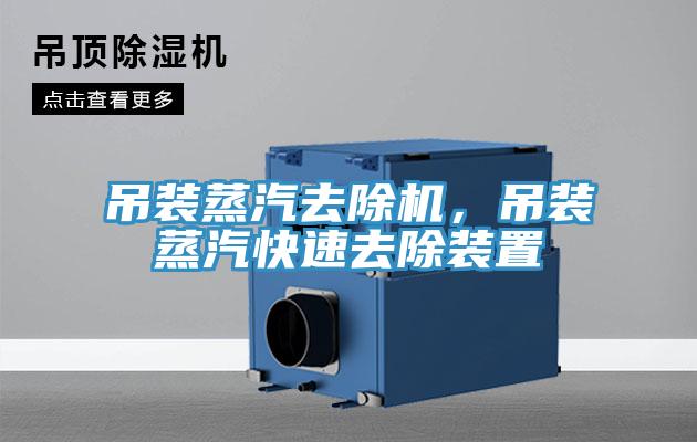 吊裝蒸汽去除機(jī)，吊裝蒸汽快速去除裝置