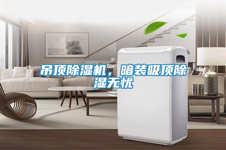 吊頂除濕機(jī)，暗裝吸頂除濕無憂