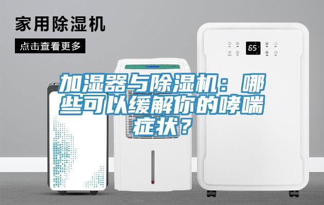 加濕器與除濕機：哪些可以緩解你的哮喘癥狀？